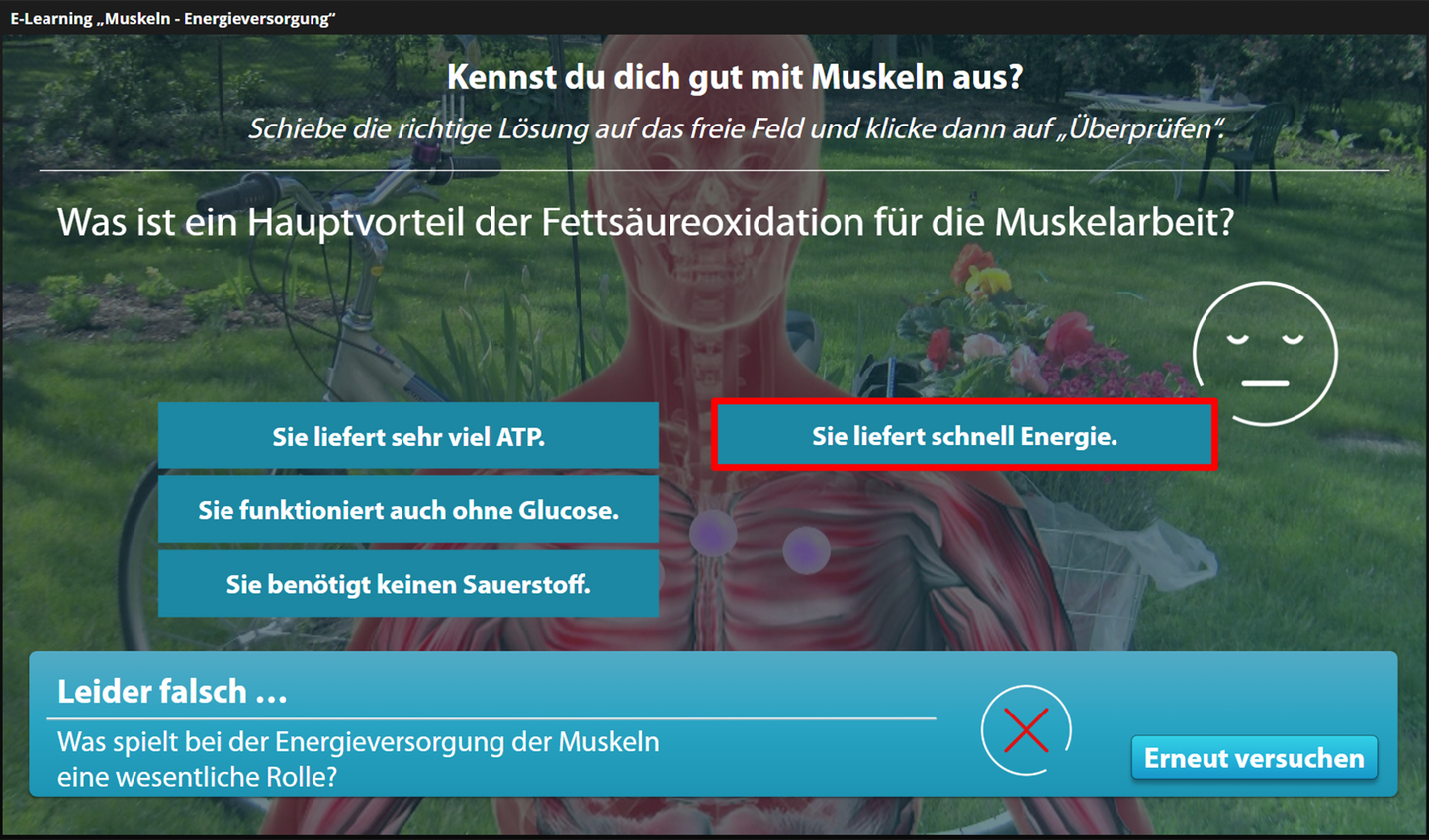 Muskeln mit E-Learning