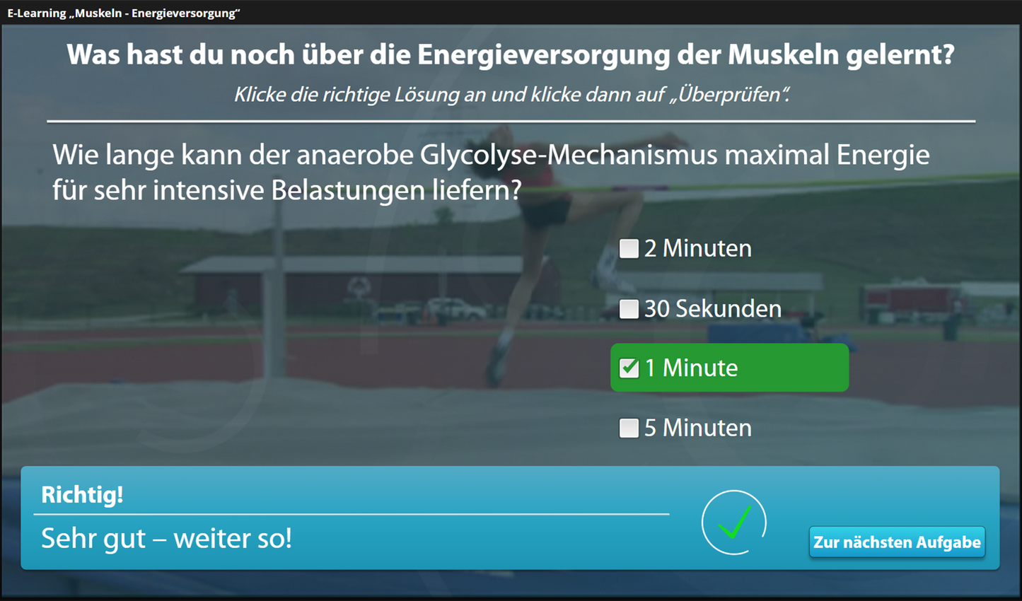 Muskeln mit E-Learning