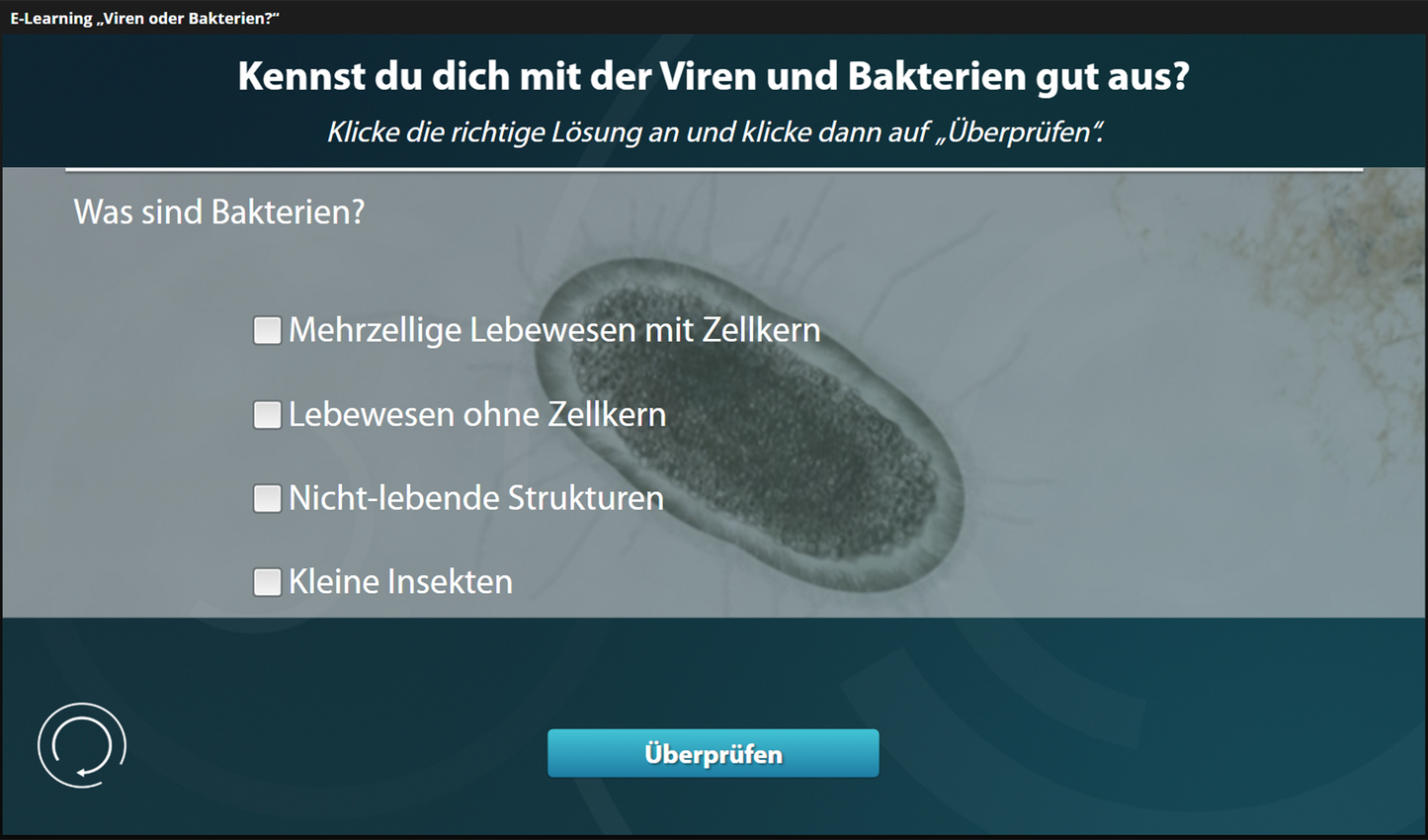 Viren oder Bakterien mit E-Learning
