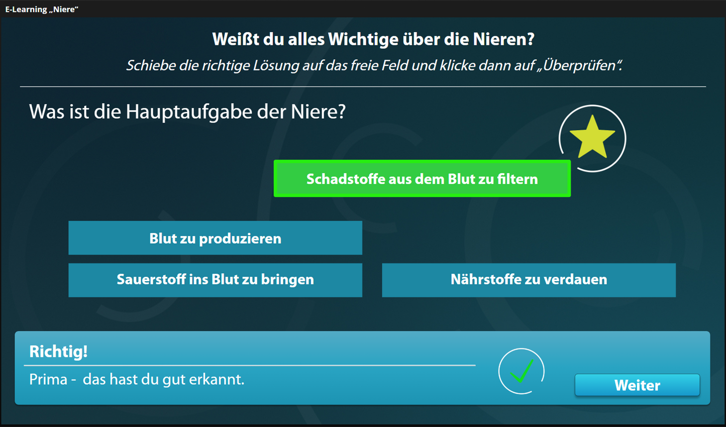 Niere mit E-Learning