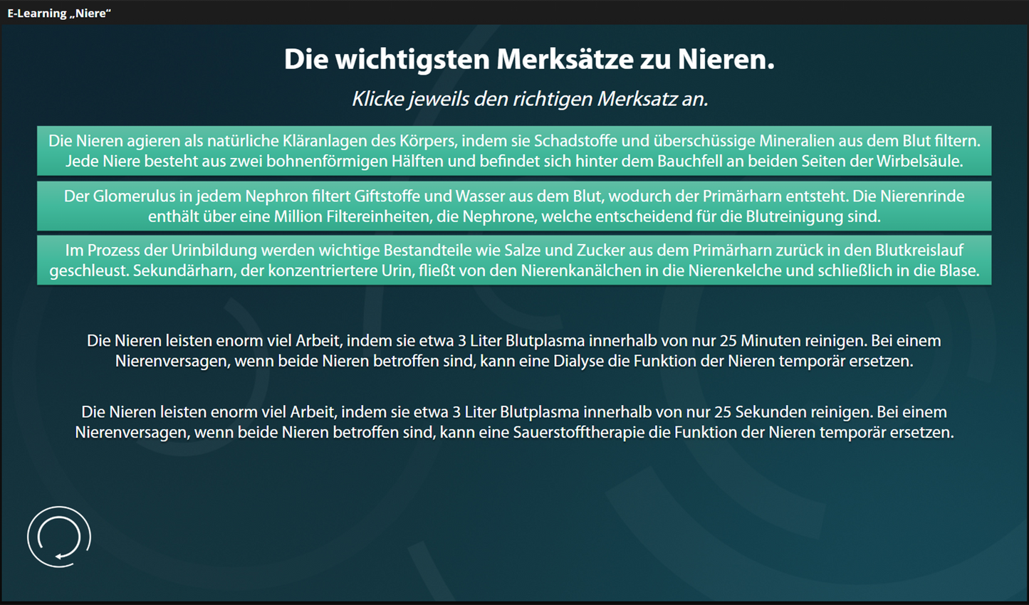 Niere mit E-Learning