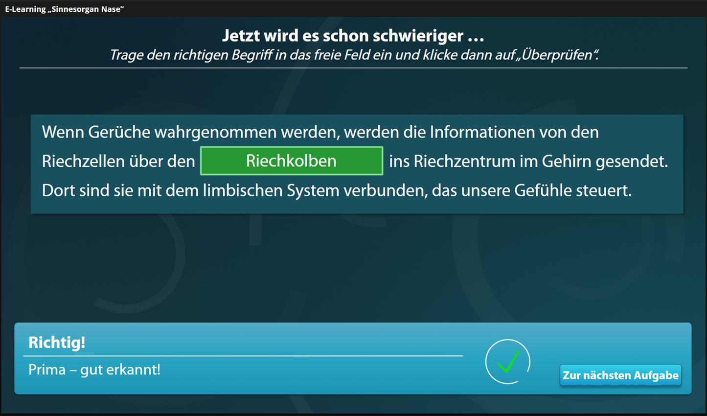 Nase mit E-Learning