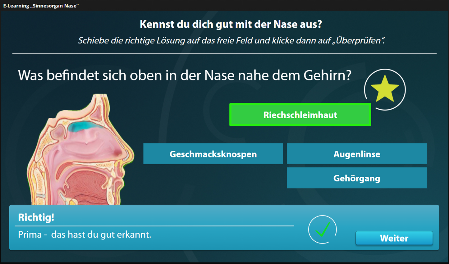 Nase mit E-Learning
