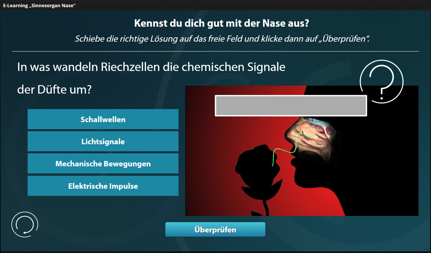 Nase mit E-Learning