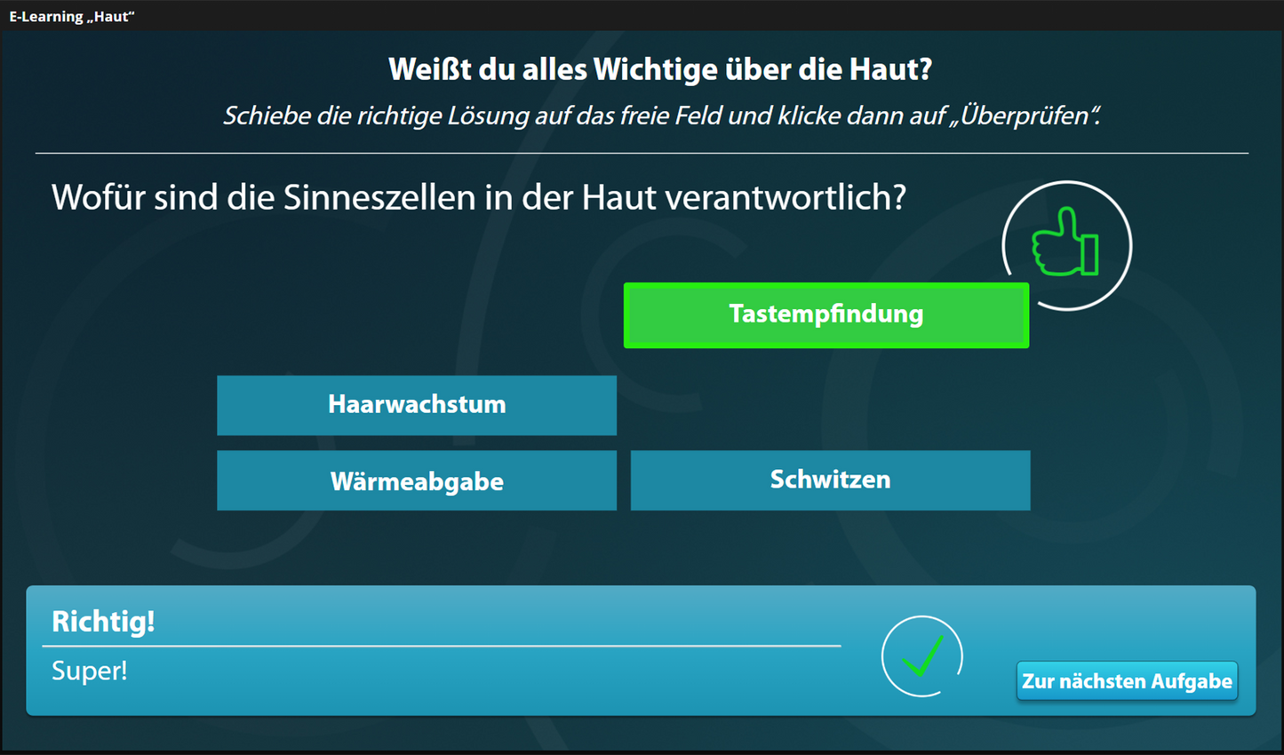 Haut mit E-Learning