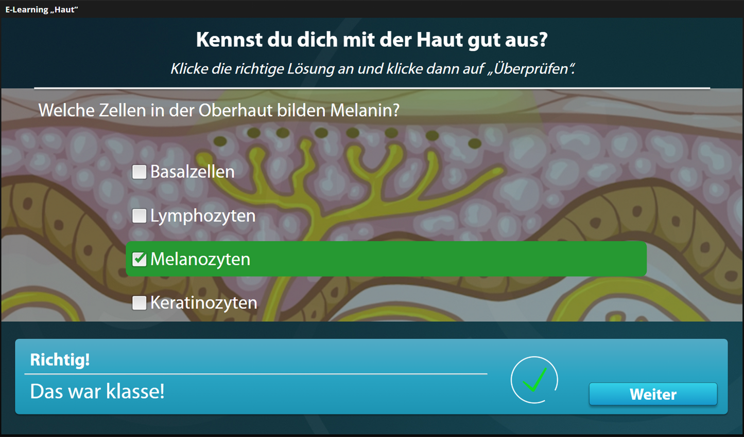 Haut mit E-Learning