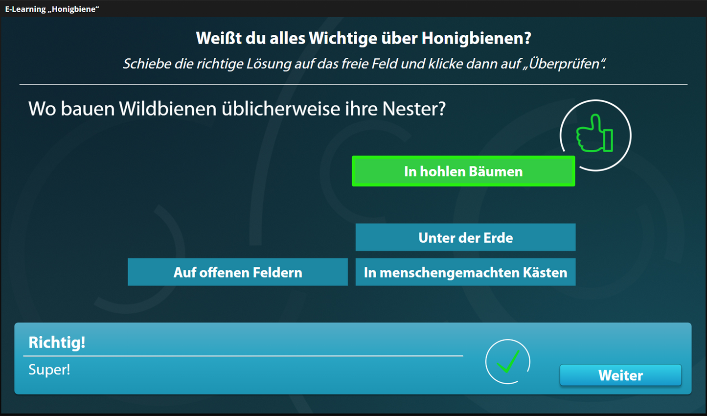 Honigbiene mit E-Learning