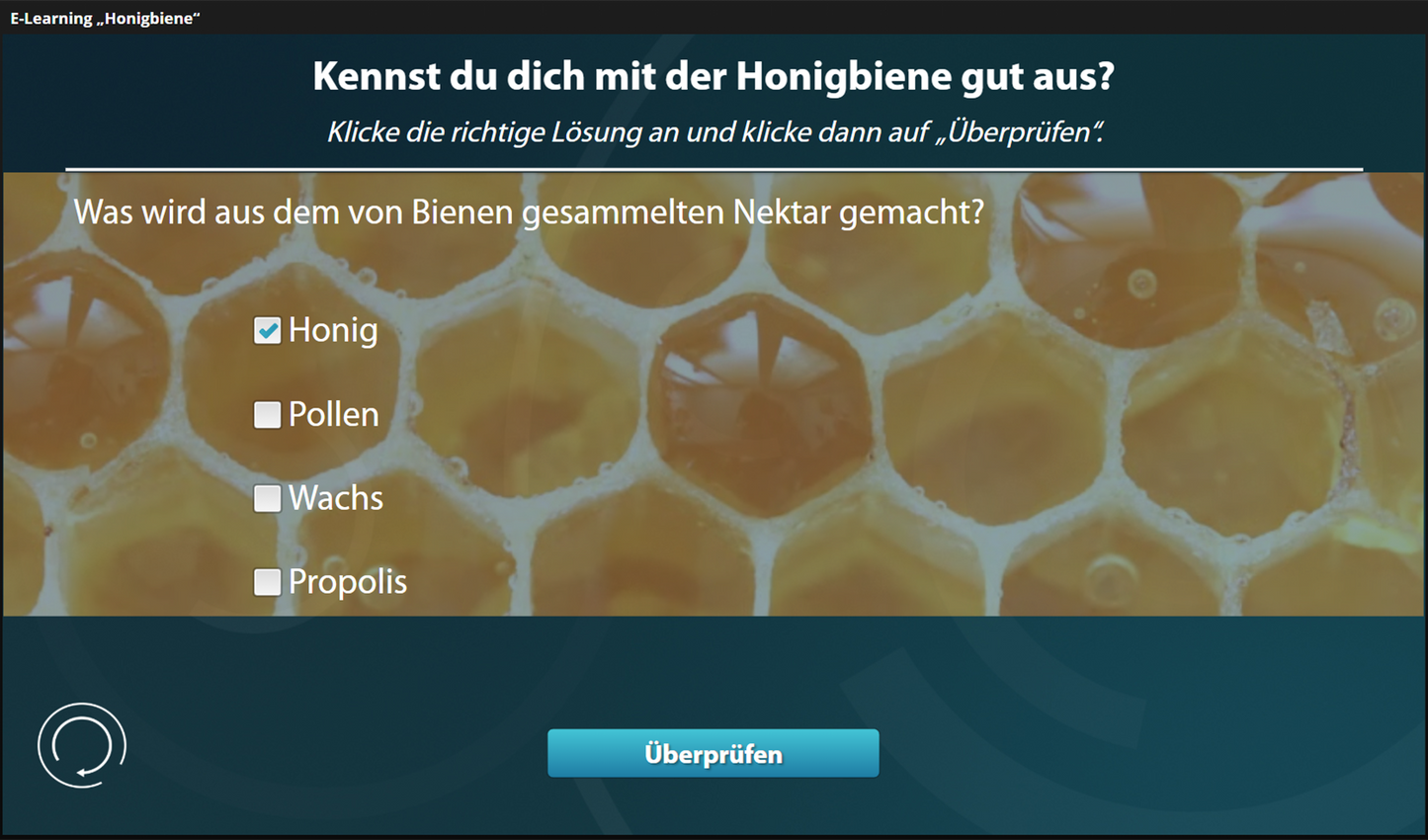 Honigbiene mit E-Learning