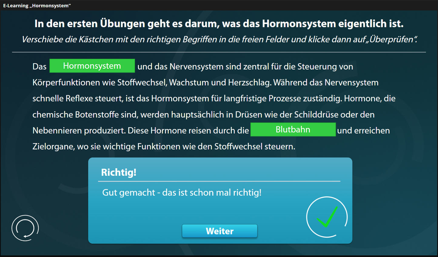 Hormonsystem mit E-Learning