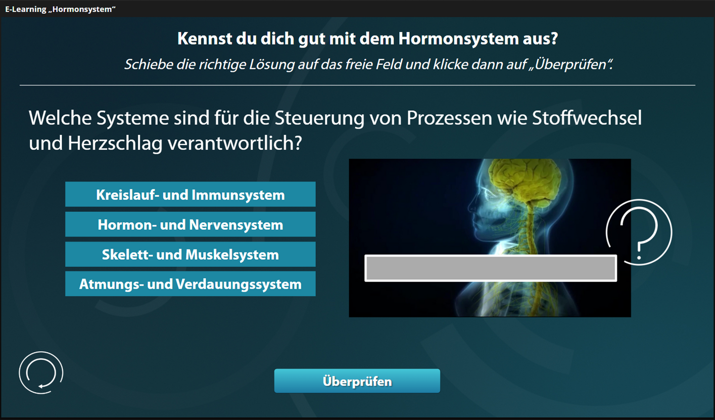 Hormonsystem mit E-Learning