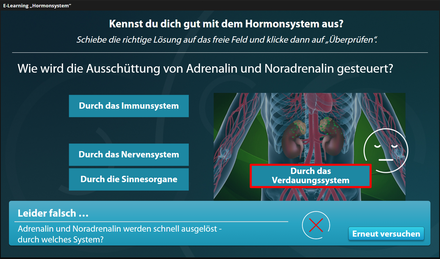 Hormonsystem mit E-Learning