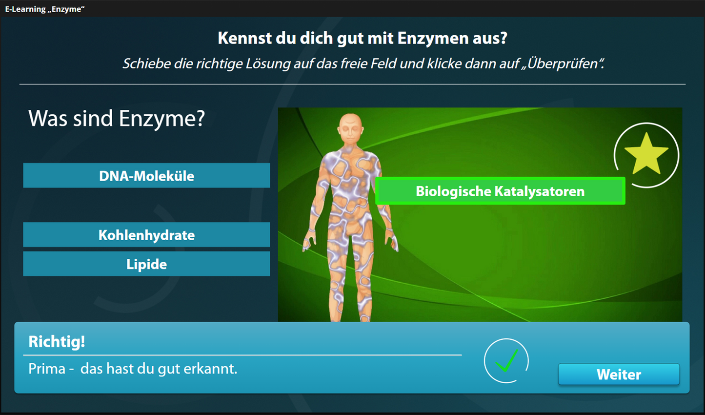 Arbeitsweise der Enzyme mit E-Learning
