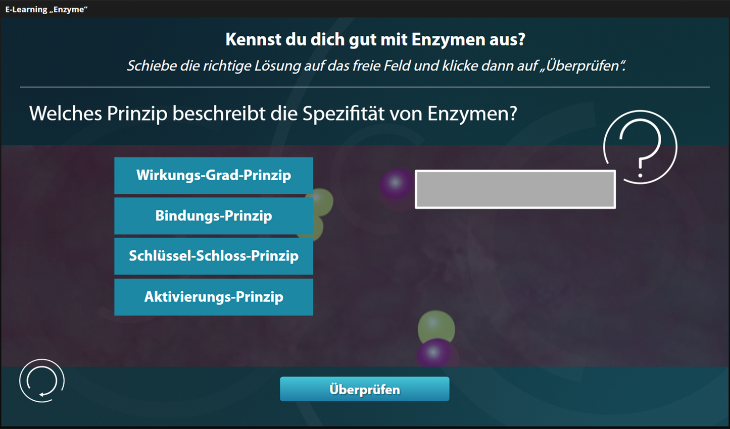 Arbeitsweise der Enzyme mit E-Learning