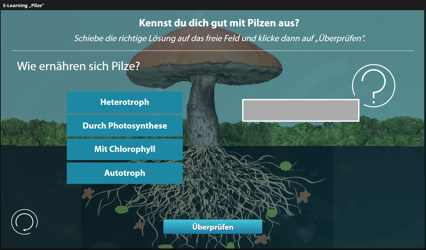 Pilze mit E-Learning