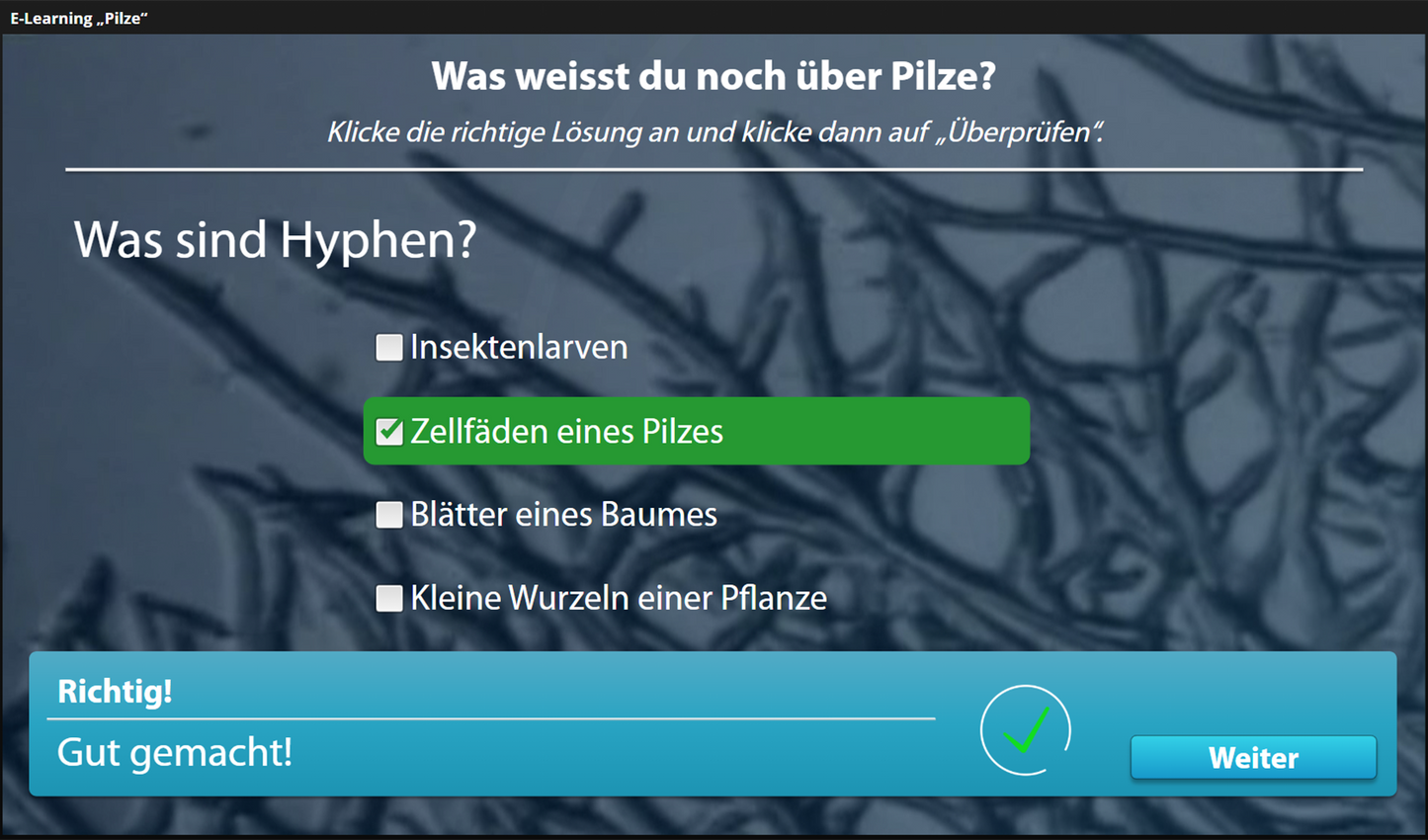 Pilze mit E-Learning