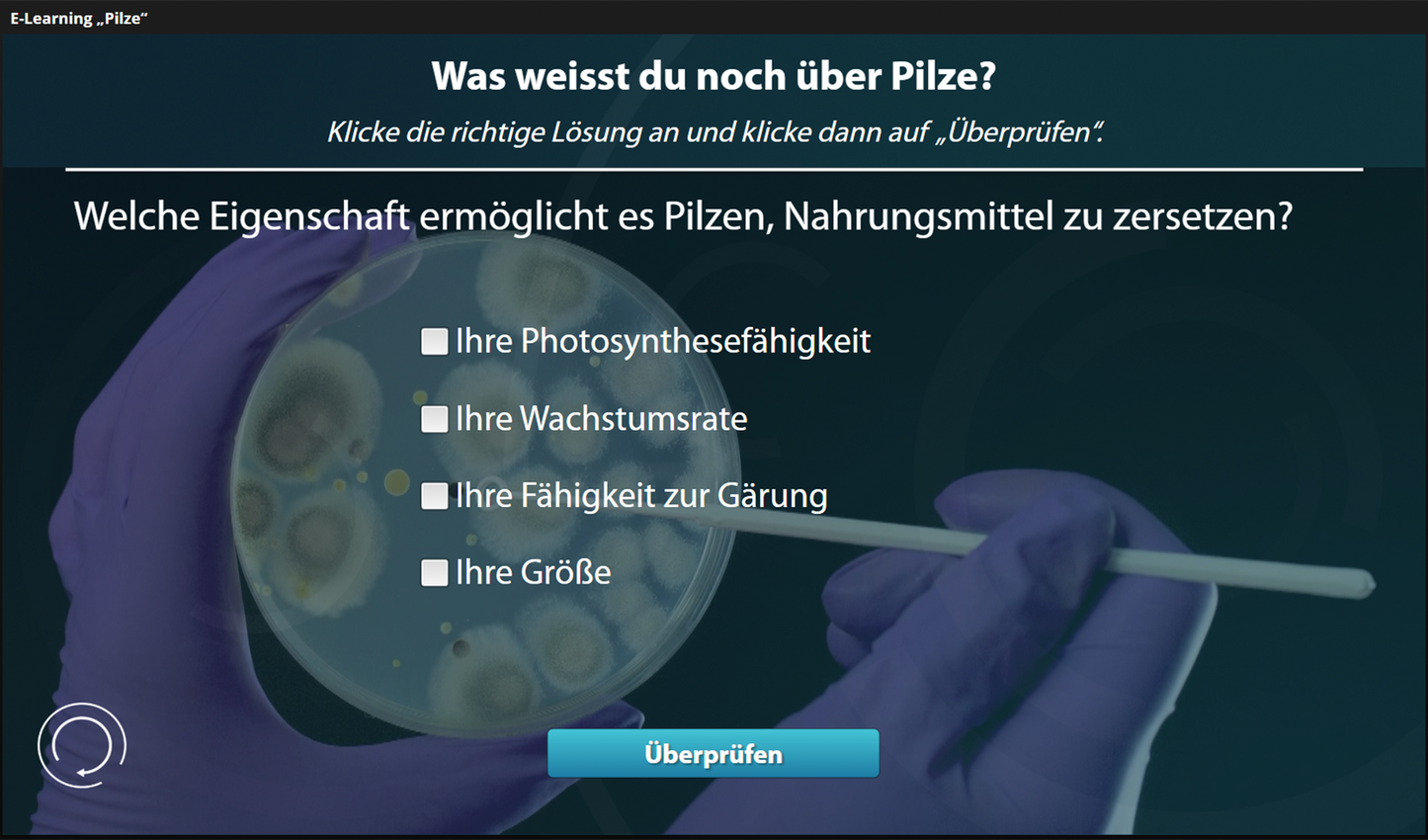 Pilze mit E-Learning