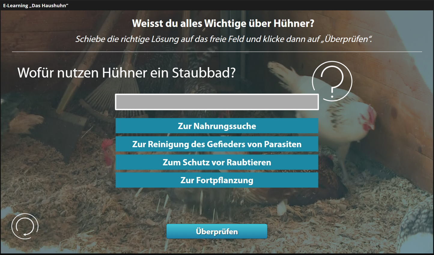 Haushuhn mit E-Learning
