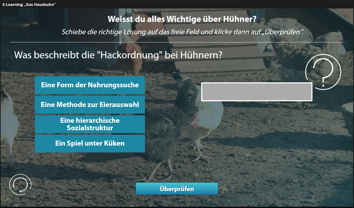 Haushuhn mit E-Learning