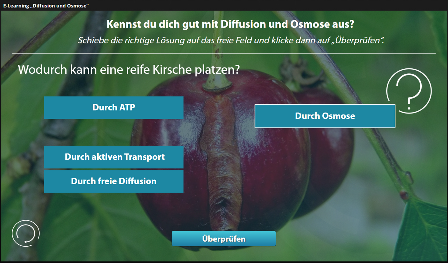 Diffusion und Osmose mit E-Learning