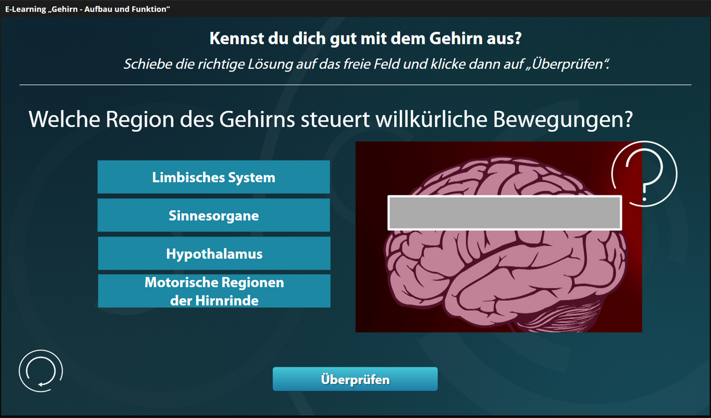 Das Gehirn - Aufbau und Funktion mit E-Learning