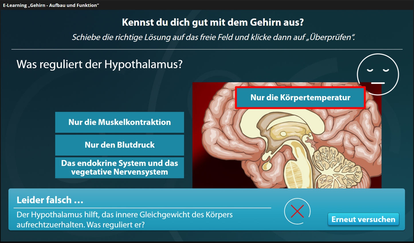 Das Gehirn - Aufbau und Funktion mit E-Learning