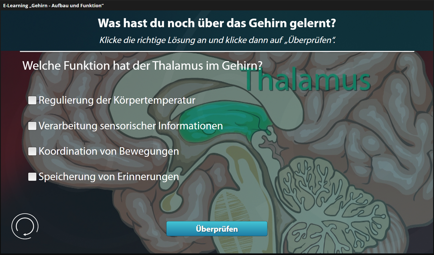 Das Gehirn - Aufbau und Funktion mit E-Learning