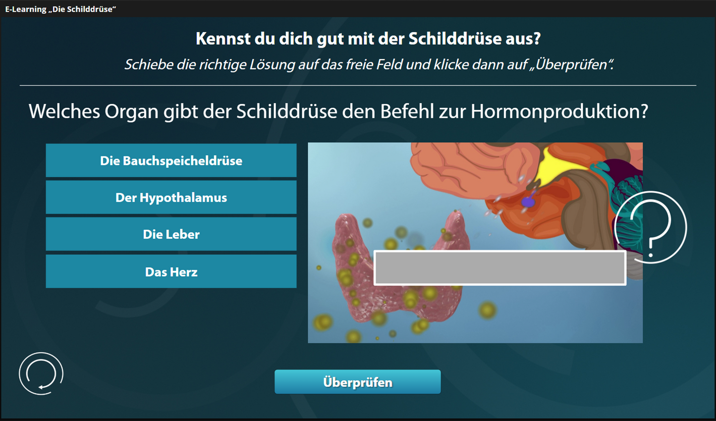 Schilddrüse - Energieumsatz mit E-Learning