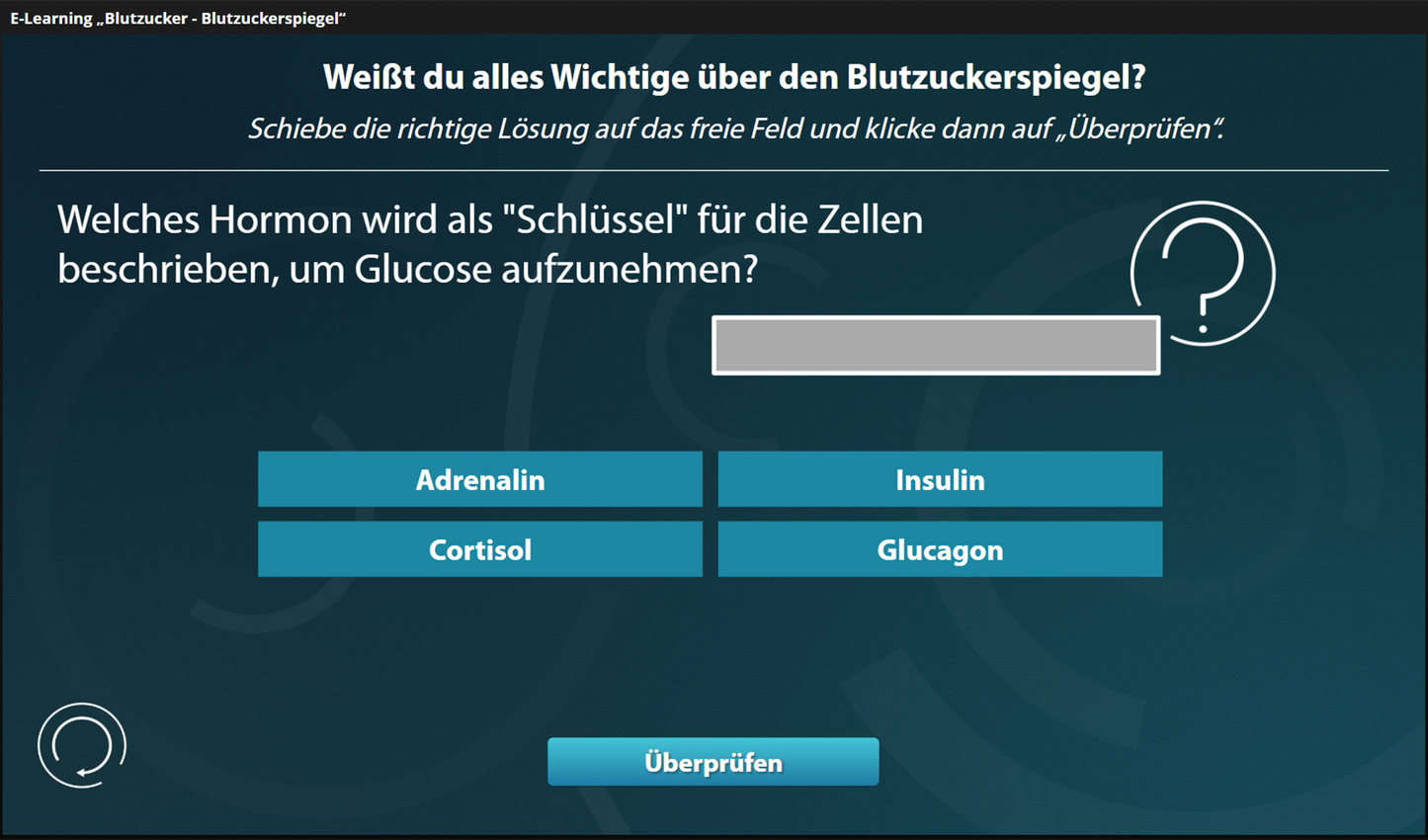 Blutzucker - Blutzuckerspiegel mit E-Learning