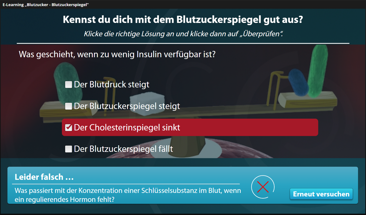 Blutzucker - Blutzuckerspiegel mit E-Learning