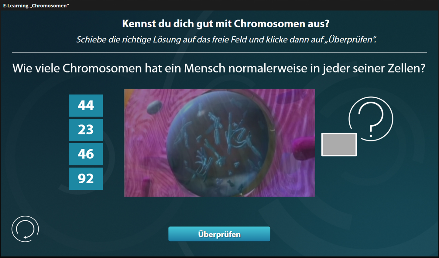 Chromosomen mit E-Learning