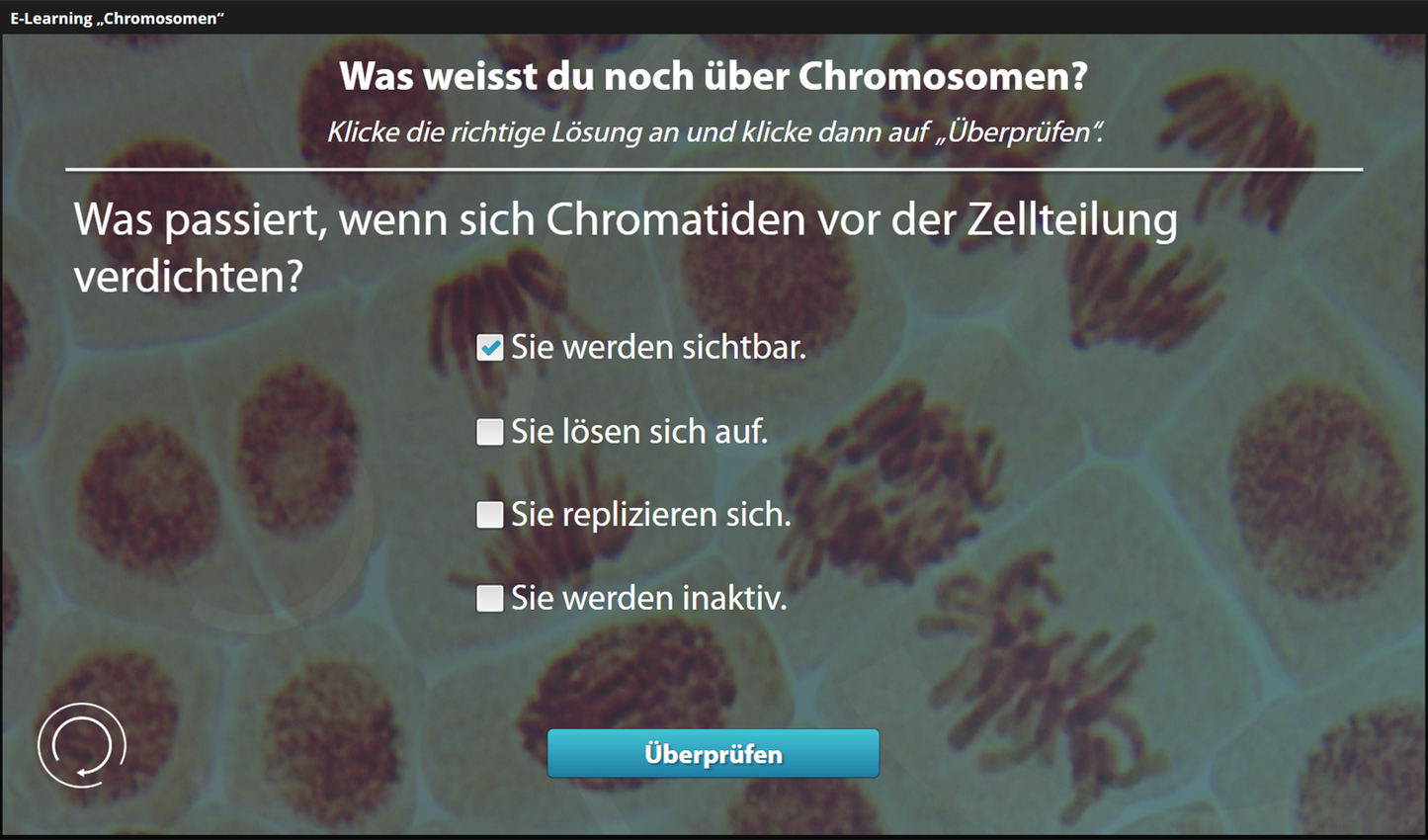 Chromosomen mit E-Learning