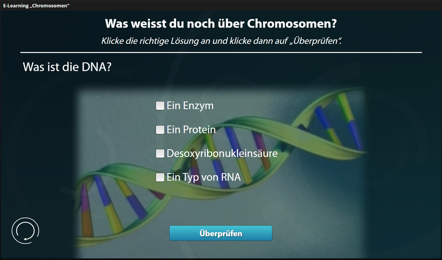 Chromosomen mit E-Learning