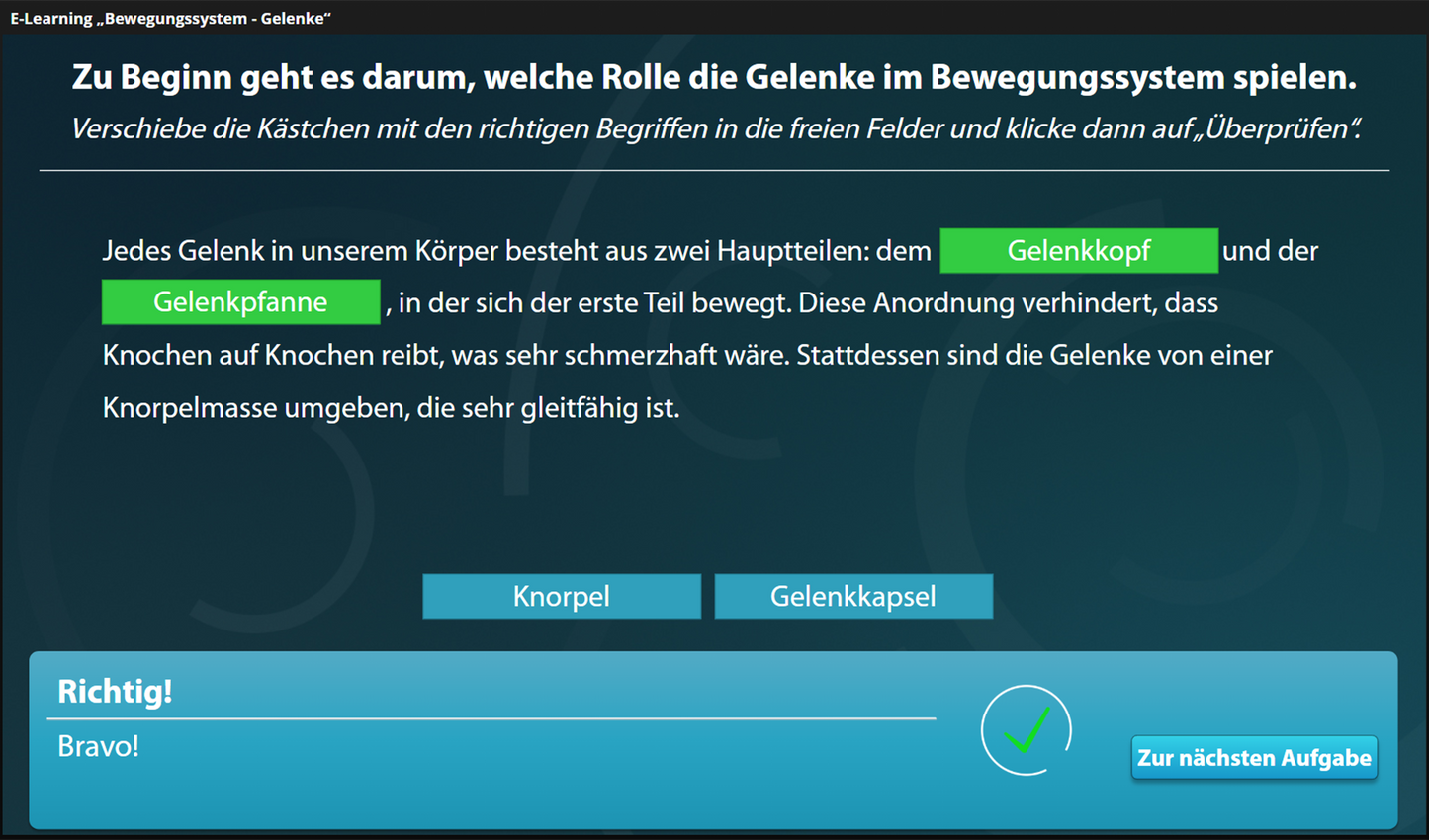 Bewegungssystem - Gelenke mit E-Learning