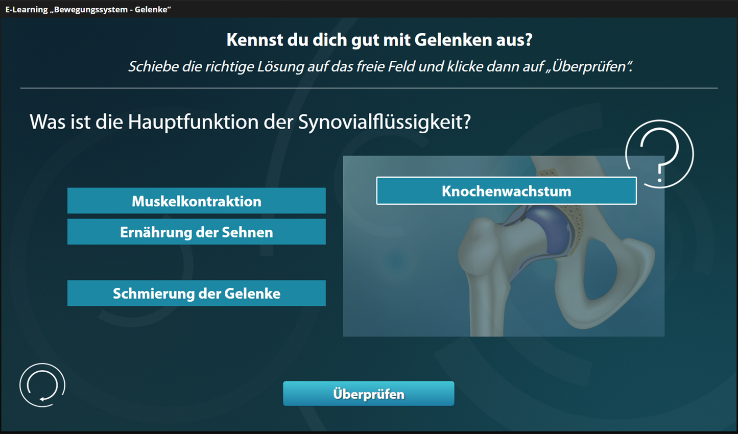 Bewegungssystem - Gelenke mit E-Learning