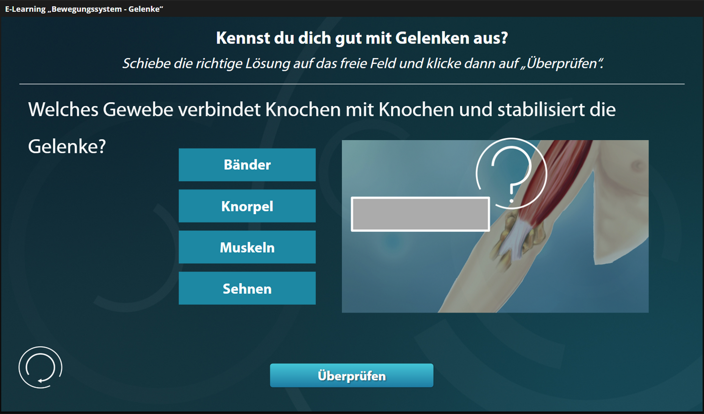 Bewegungssystem - Gelenke mit E-Learning