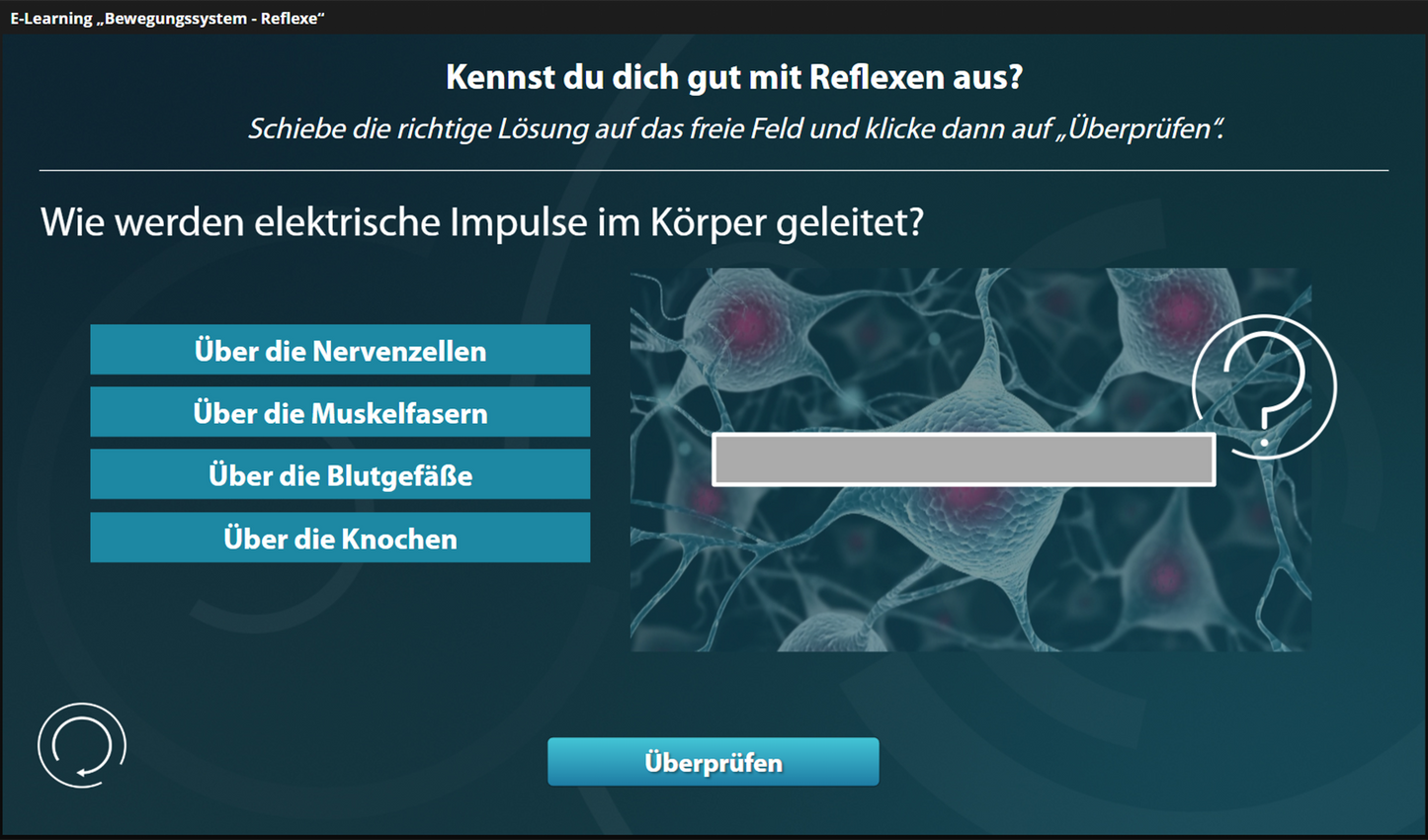 Bewegungssteuerung - Reflexe mit E-Learning