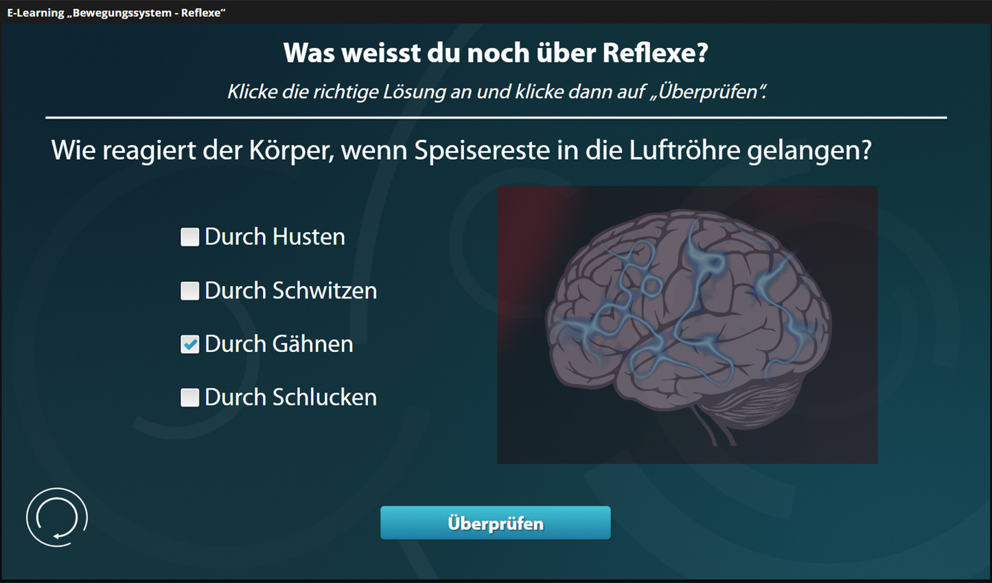 Bewegungssteuerung - Reflexe mit E-Learning
