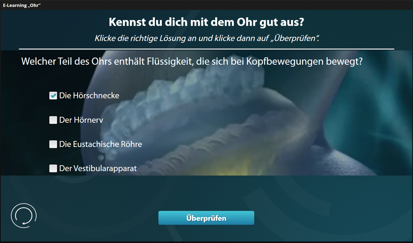 Ohr mit E-Learning