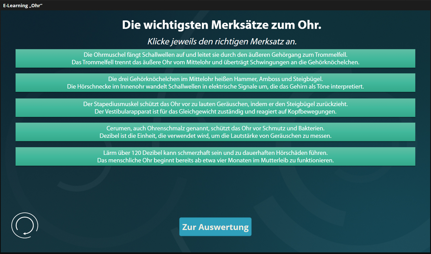 Ohr mit E-Learning