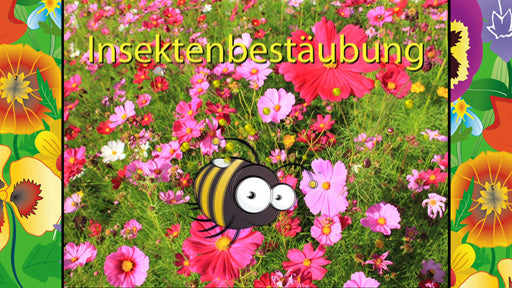Insektenbestäubung