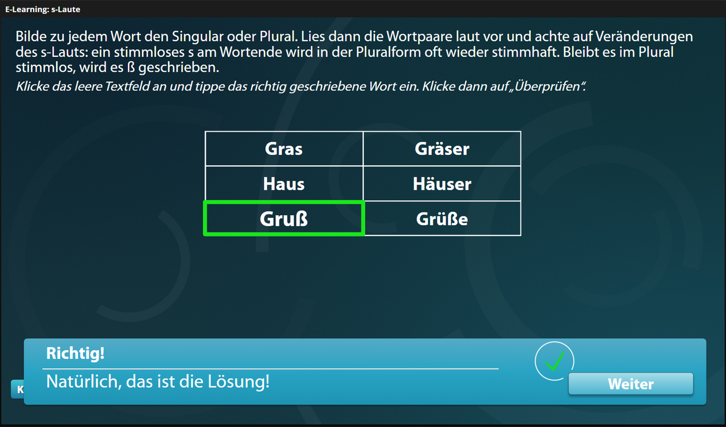s-Laute mit E-Learning