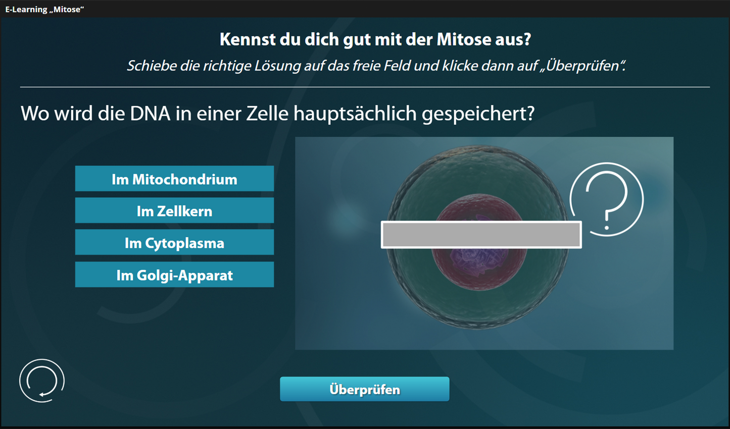 Mitose mit E-Learning