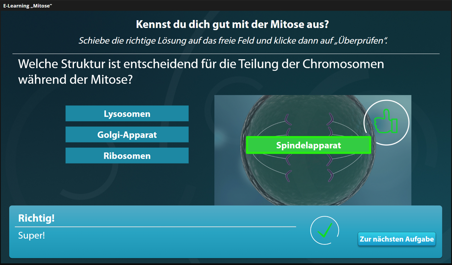 Mitose mit E-Learning