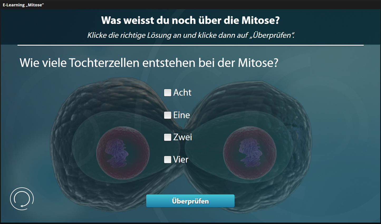 Mitose mit E-Learning