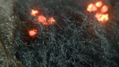 Exotherme chemische Reaktionen