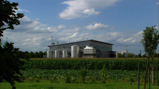 Biomasse als Alternative zu fossilen Energieträgern
