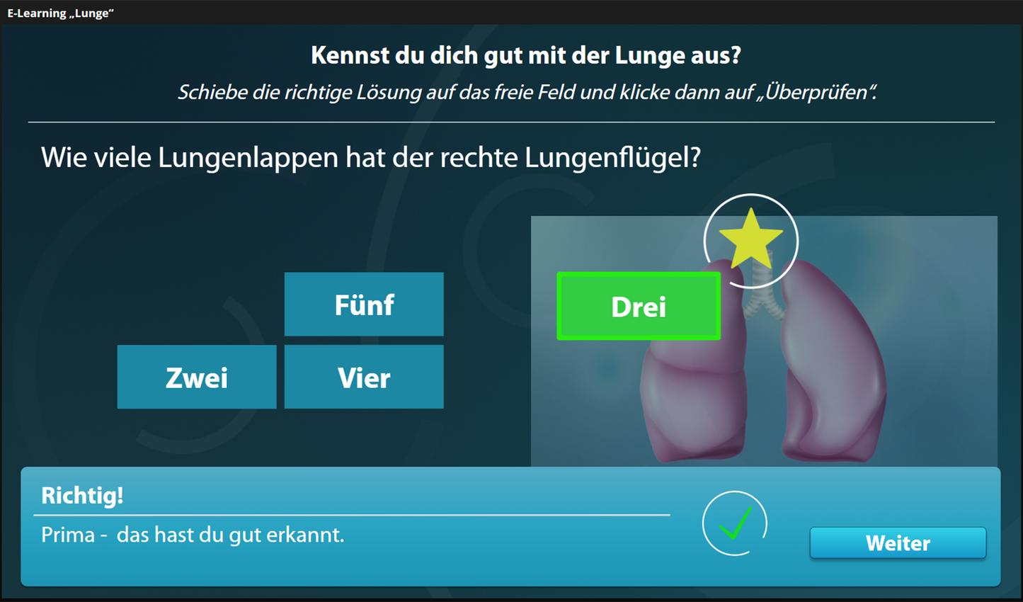 Lunge mit E-Learning