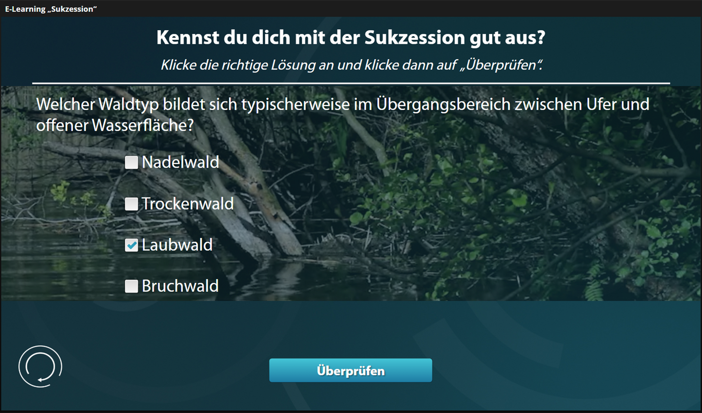 Sukzession mit E-Learning