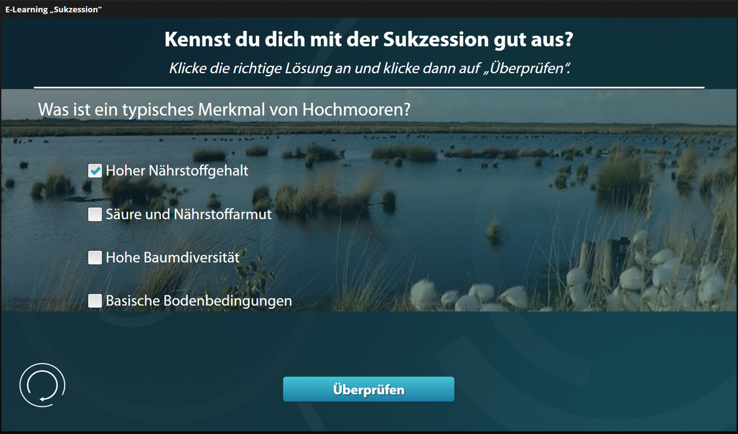 Sukzession mit E-Learning