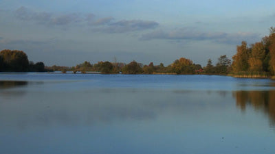 Ökosystem Fischteich
